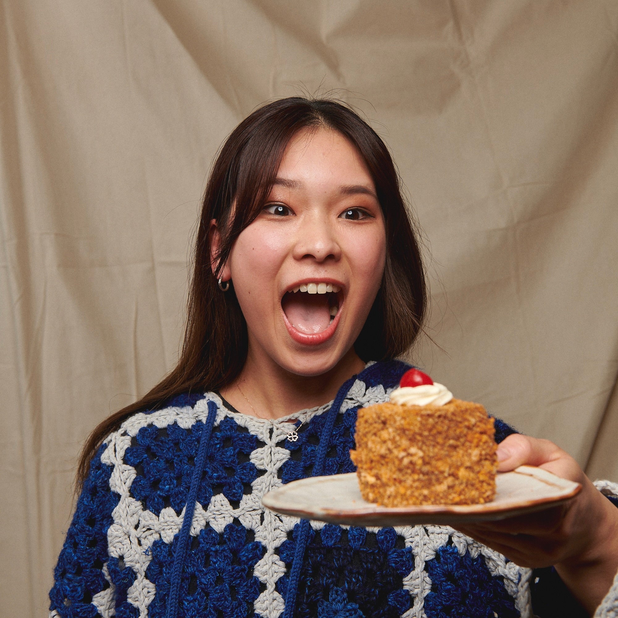 Christmas pudding lamington tokyo lamington